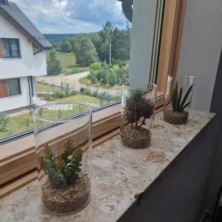 Bursztynowa Apartment *